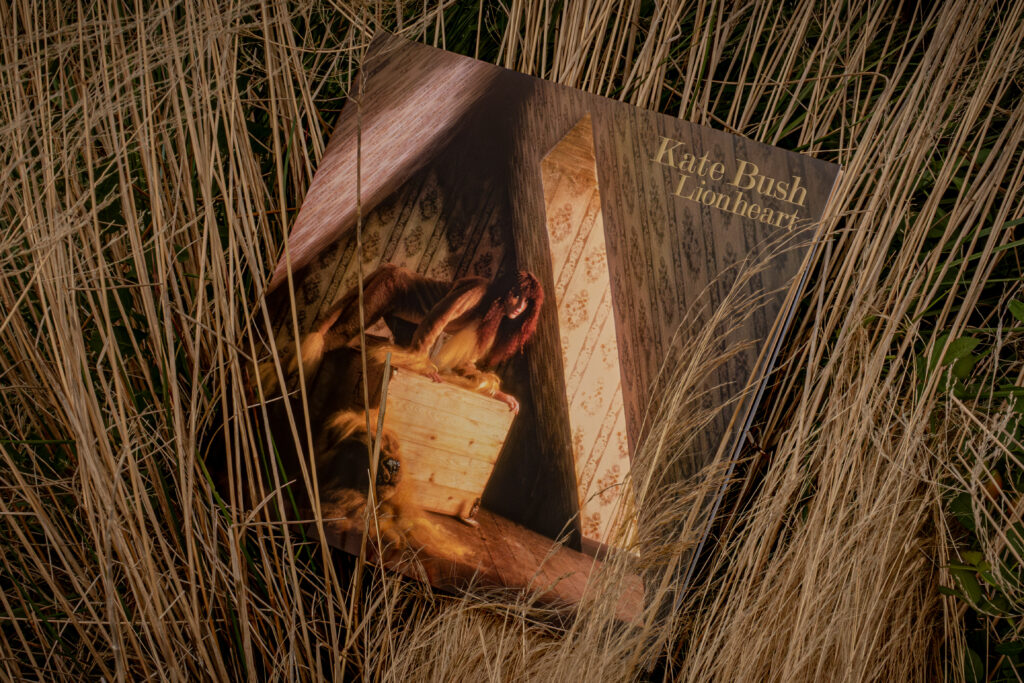UK盤！KATE BUSH / ケイト・ブッシュ / LIONHEART UK盤！KATE BUSH / ケイト・ブッシュ / LIONHEART BUSH,KATE