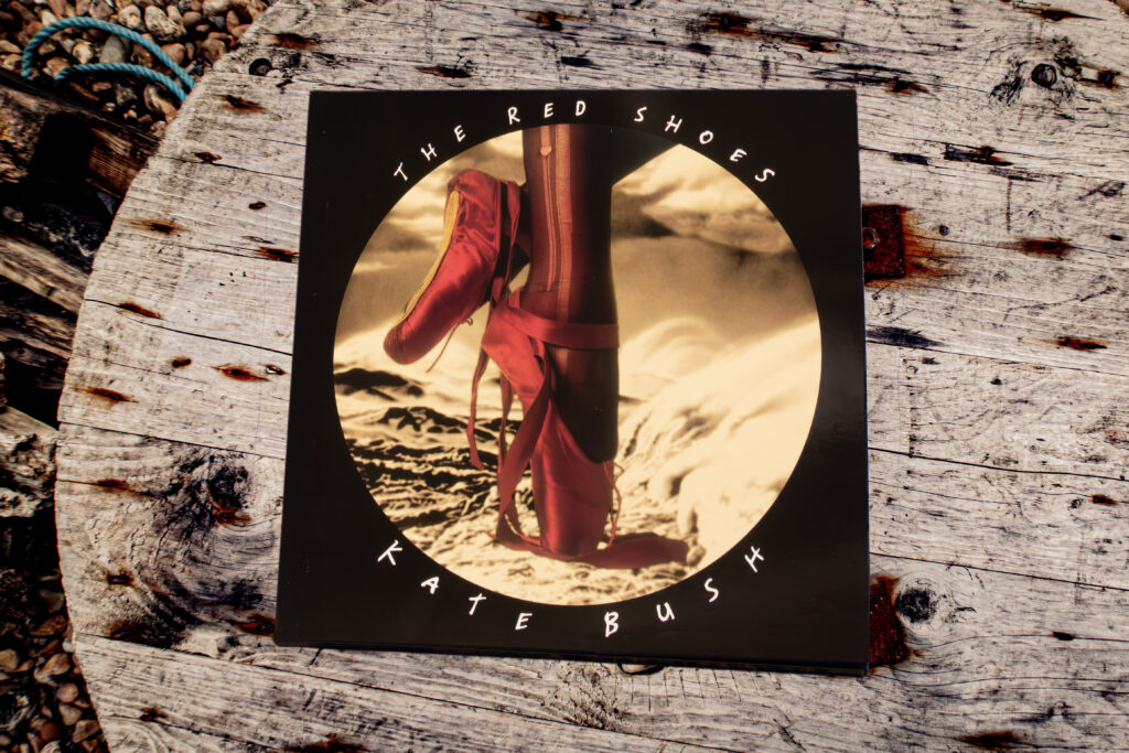 7.-New-Master-The-Red-shoes-